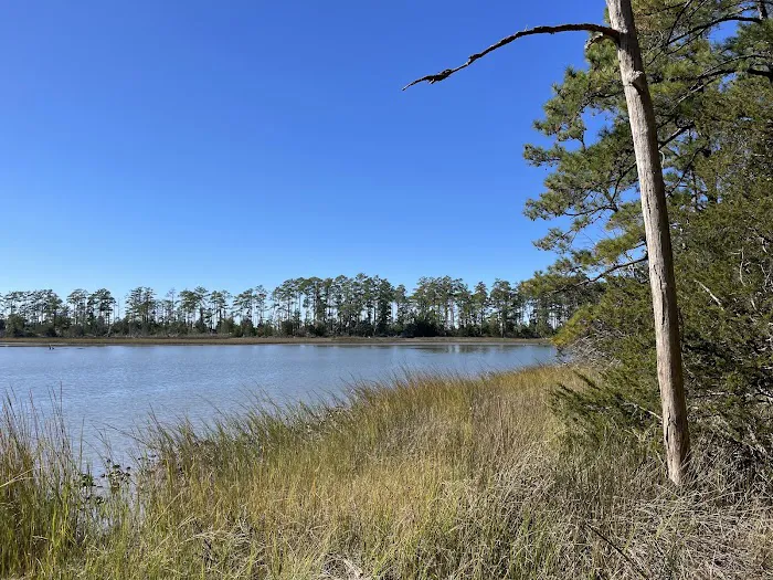 Machicomoco State Park Campground Picture 7