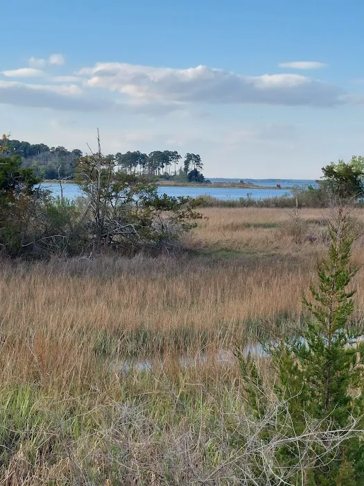 Naval Weapons Station Yorktown - Cheatham Annex Recreation Area Picture 12