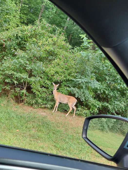 Naval Weapons Station Yorktown - Cheatham Annex Recreation Area Picture 19