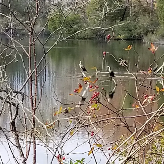 Kings Creek RV Campground Picture 5