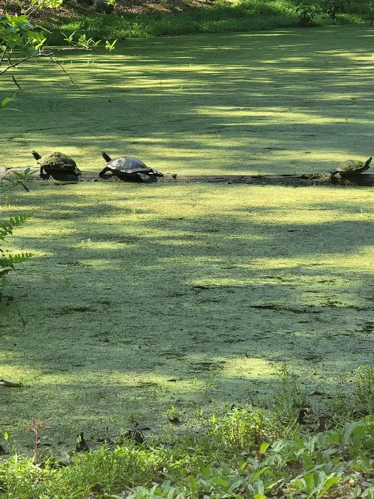 Ed Allen's Campgrounds Picture 5