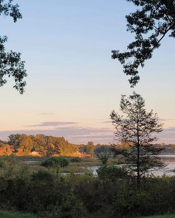Ed Allen's Campgrounds Picture 7