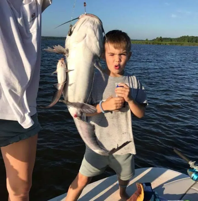 Riverside Camp and Marina Picture 5