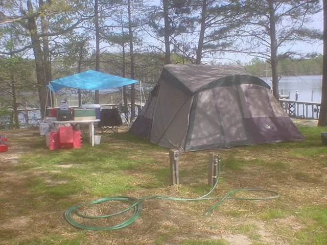 Riverside Camp and Marina Picture 6