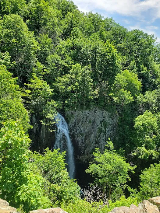 Mathews Arm Campground Picture 3