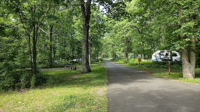 Mathews Arm Campground Picture 4