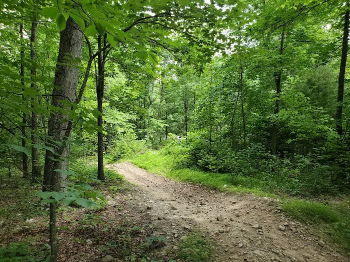 Peters Mill Run/Taskers Gap OHV System Picture 8