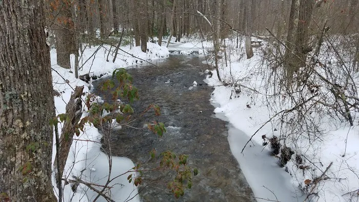 Little Fort Campground Picture 1