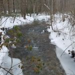 Little Fort Campground