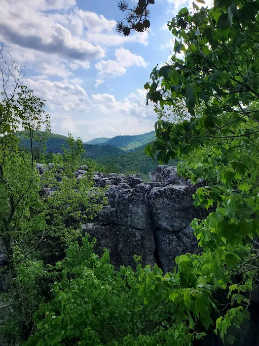 Camp Hemlock Picture 4