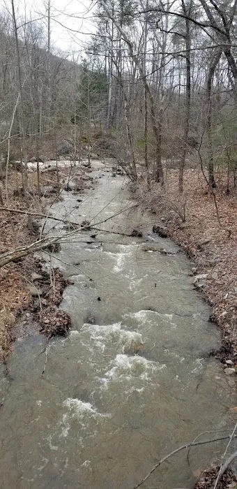 Camp Hemlock Picture 8