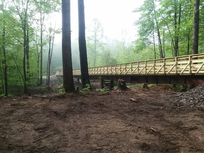 Camp Hemlock Picture 7