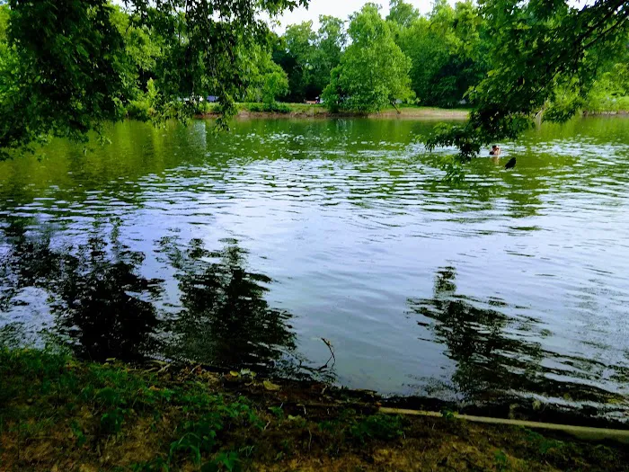 Johnny's Camp Picture 1