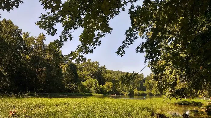 Johnny's Camp Picture 6