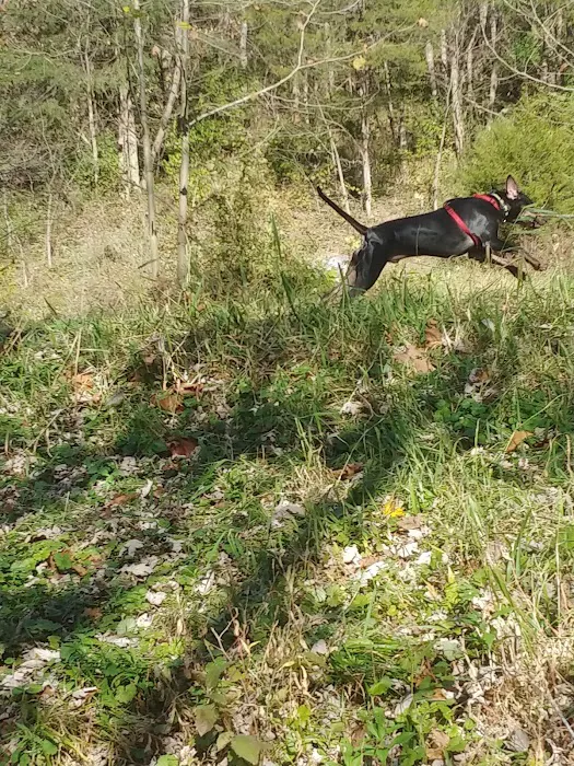 JR Campground Picture 8