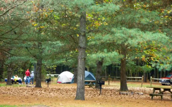 Camp OutBack Picture 3