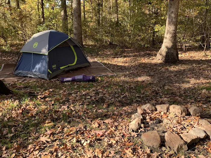 Camp OutBack Picture 9