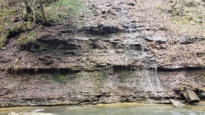 Kibbe's Island Park Campground Picture 5