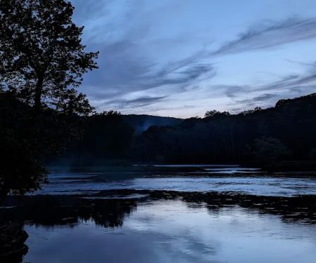 Camp Pugbutt/Sean's camp