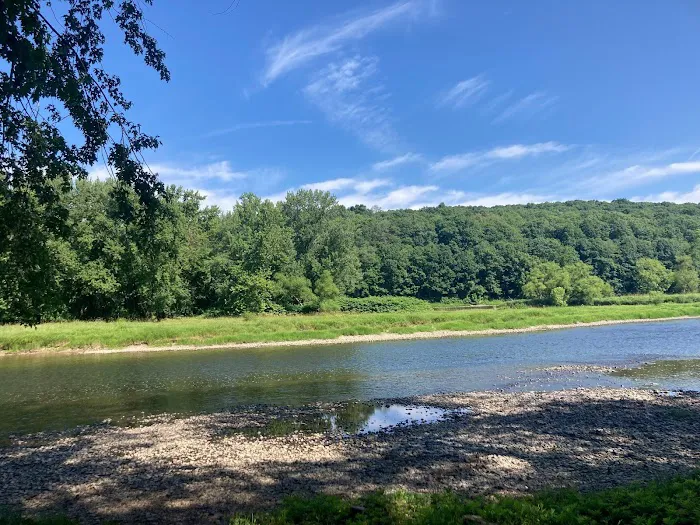 Camp Pugbutt/Sean's camp Picture 5