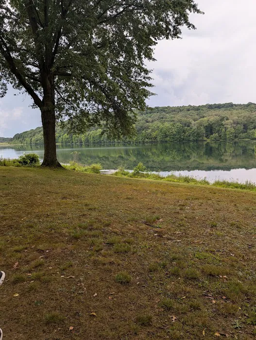 Two Mile Run Campground Picture 1