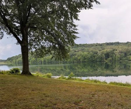 Two Mile Run Campground