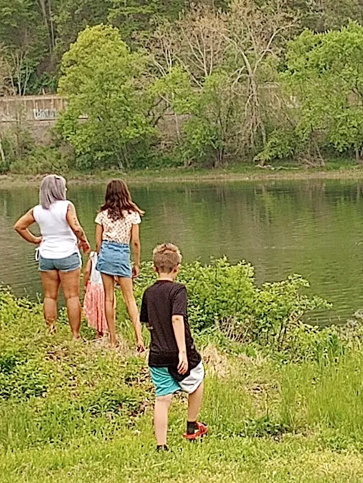 Oil city marina campsite Picture 1