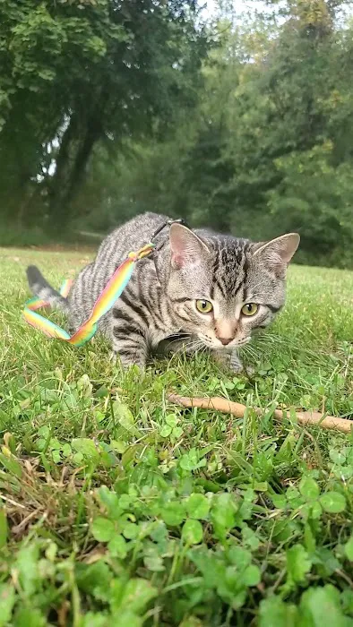 Oil city marina campsite Picture 8