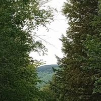 Hastings Campground ico