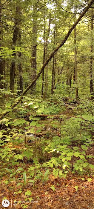 Hastings Campground Picture 4