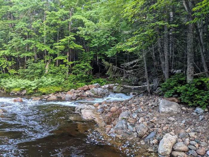 Spruce Brook Tent Site Picture 3