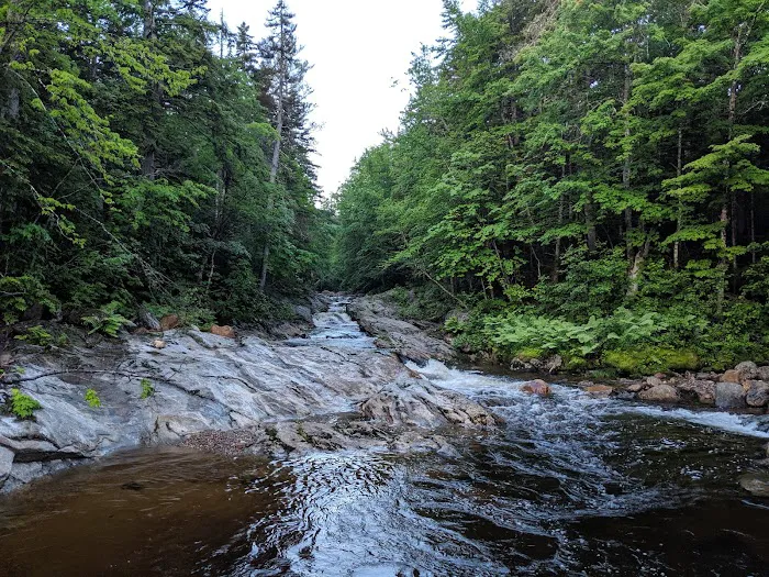 Spruce Brook Tent Site Picture 4