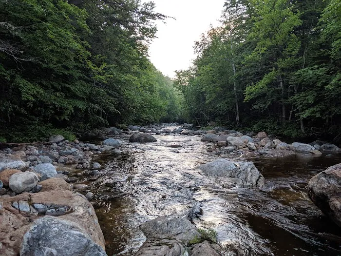 Spruce Brook Tent Site Picture 2