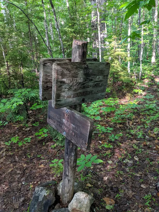 Spruce Brook Tent Site Picture 5