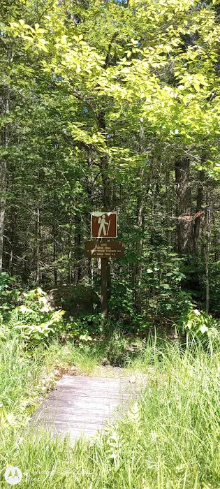 Wild River Campground Picture 6