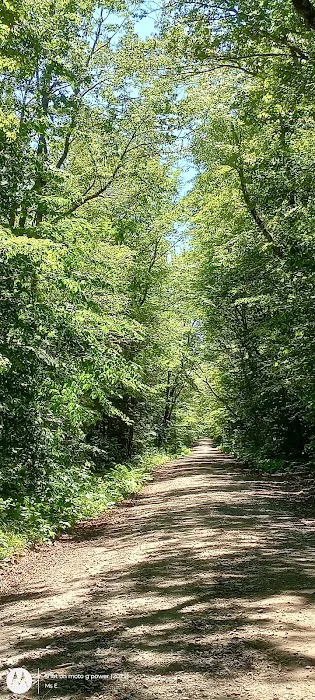 Wild River Campground Picture 8