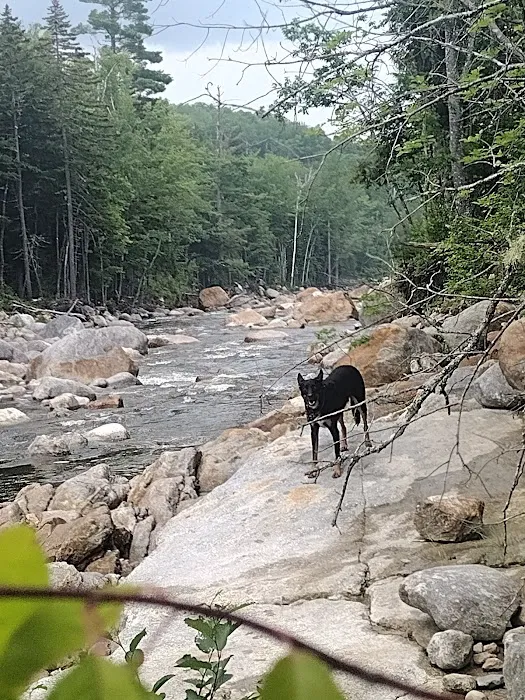 Wild River Campground Picture 5