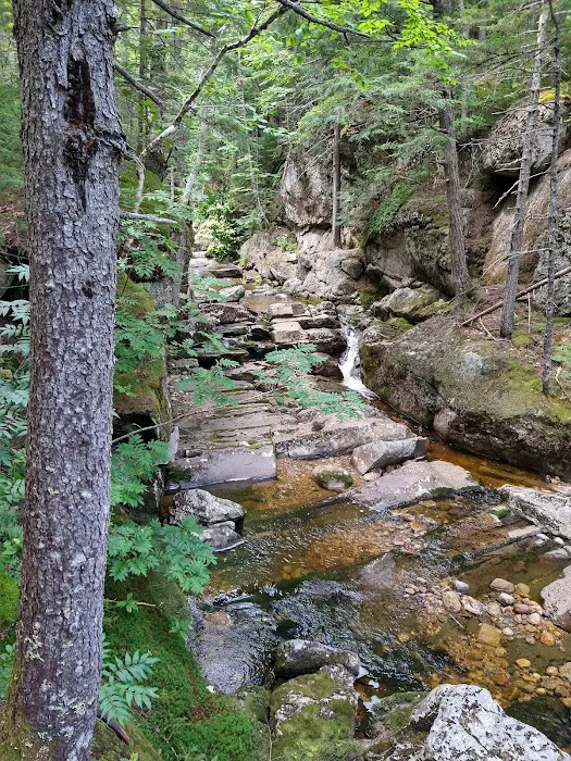 Wild River Campground Picture 7