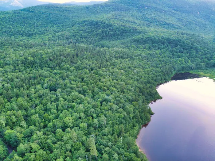 Basin Campground Picture 3