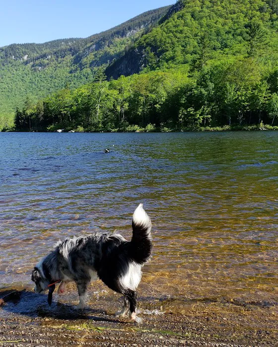 Basin Campground Picture 8