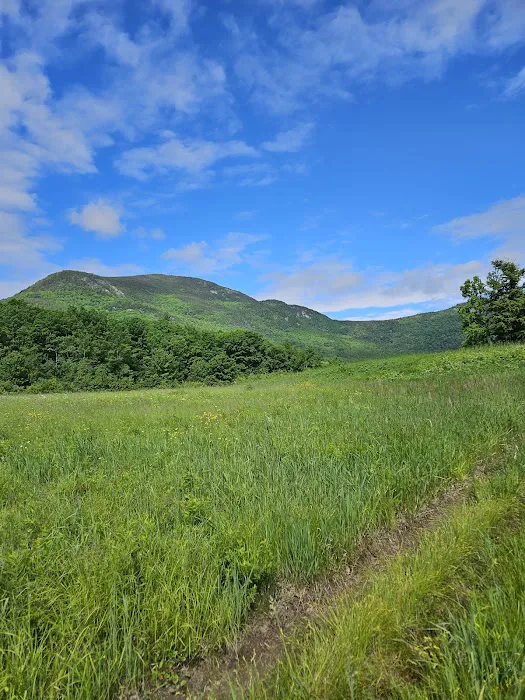 Basin Campground Picture 2