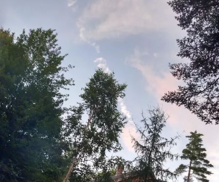 Camp Cochran on Webb River