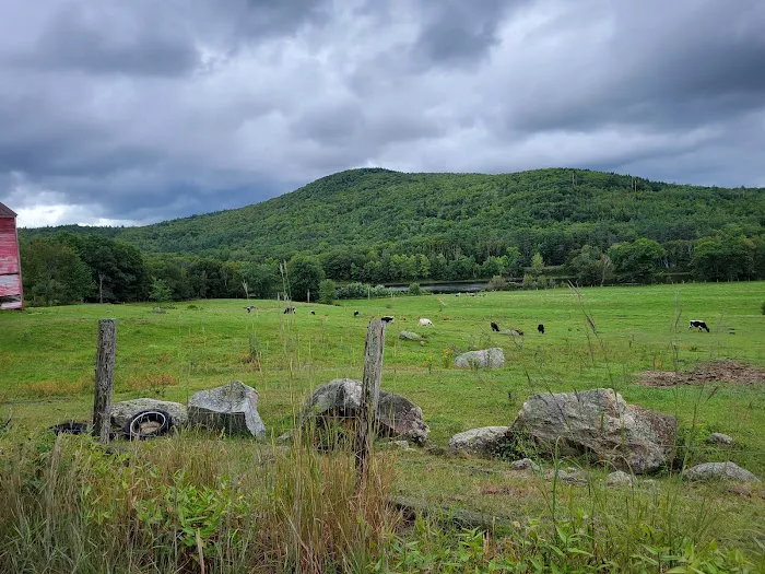 Mountain View Campground Picture 3