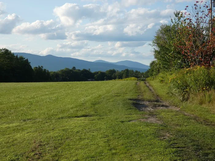 Mountain View Campground Picture 5