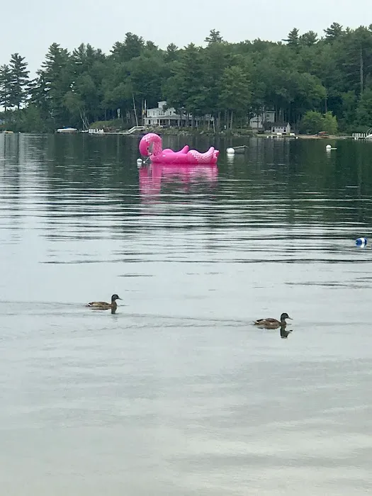 Nason's Beach & Campground Picture 8