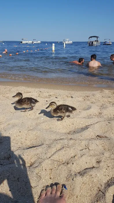 Nason's Beach & Campground Picture 9