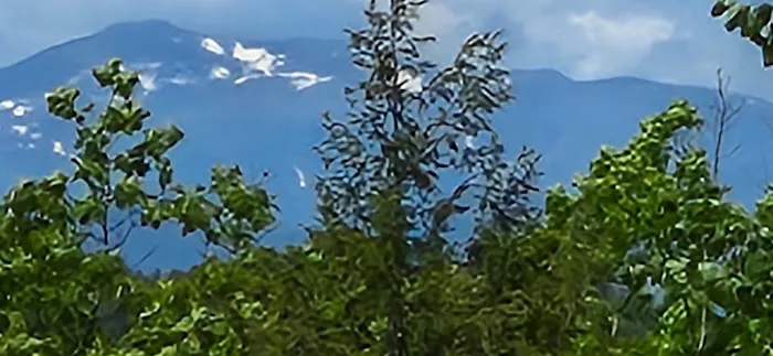 Granger Pond Camping Area Picture 3