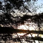 Granger Pond Camping Area