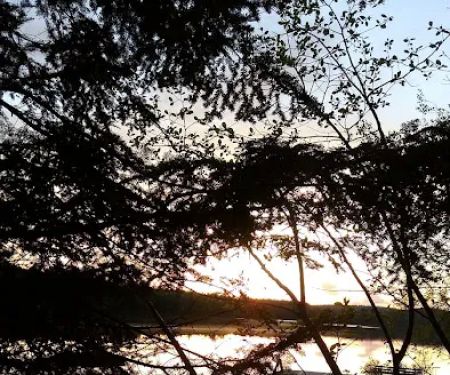 Granger Pond Camping Area