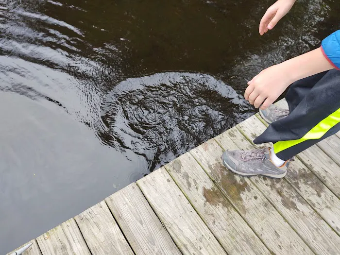 Four Seasons Family Camping Area Picture 5